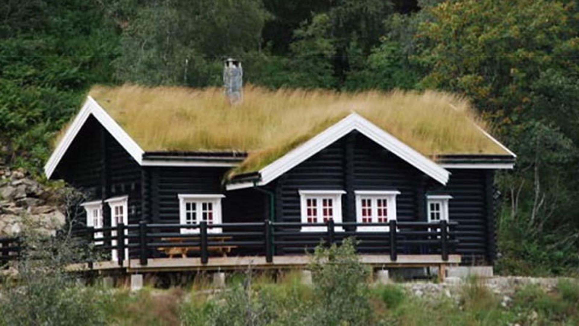 норвежский домик в один этаж под травяной крышей